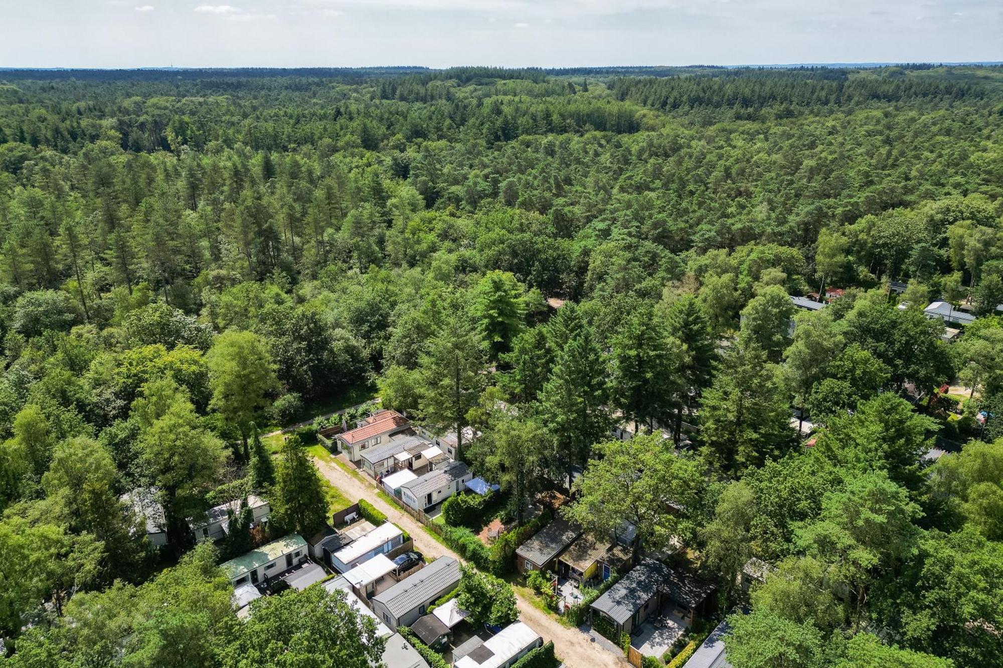 Veluwe Hoenderloo Luxury Chalet With Private Sauna And Hot Tub - Swimming Pool Tennis Court Supermarket Bowling Alley Theatre And Entertainment For Children Kültér fotó